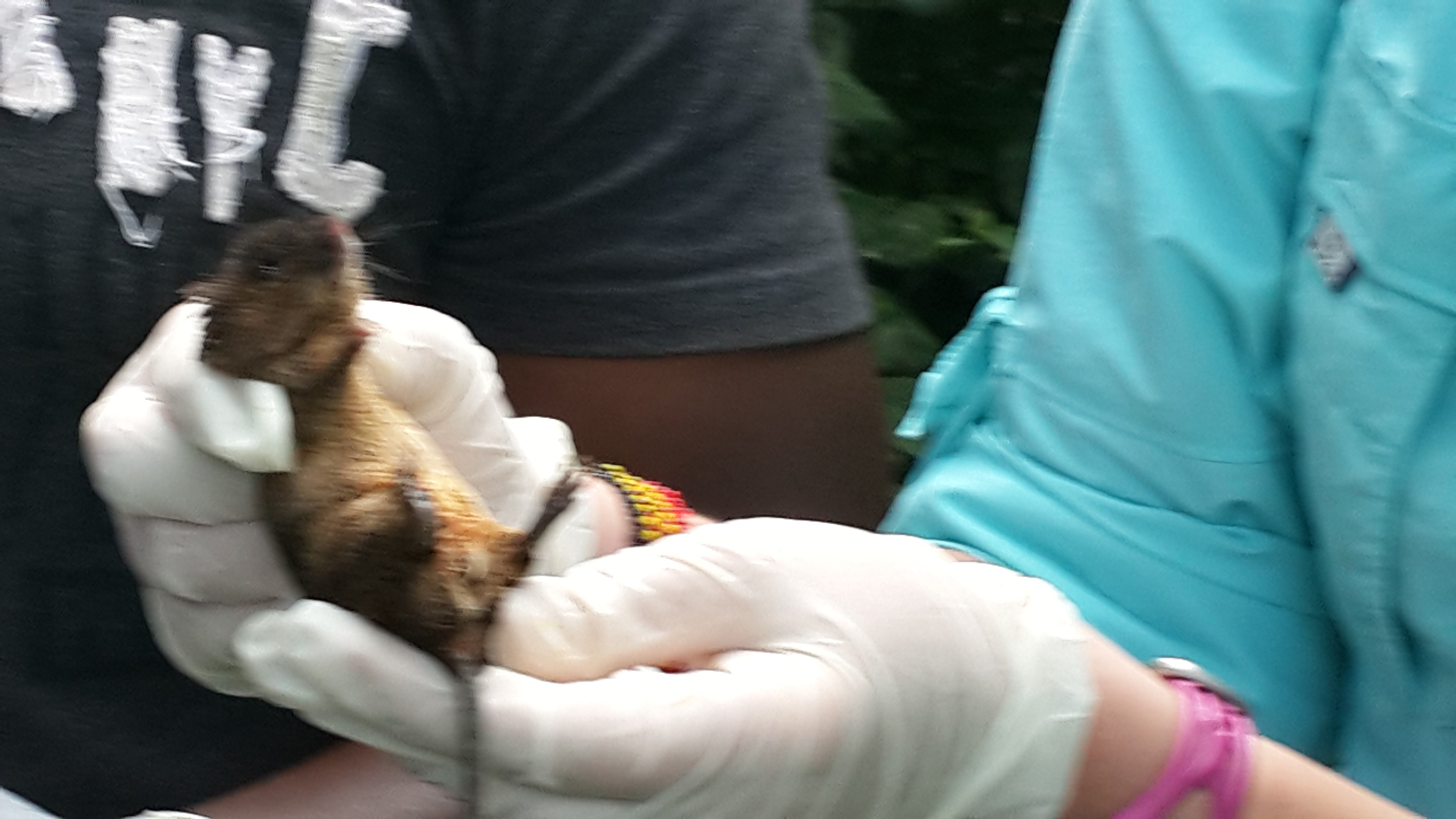 Science driven field work image 12